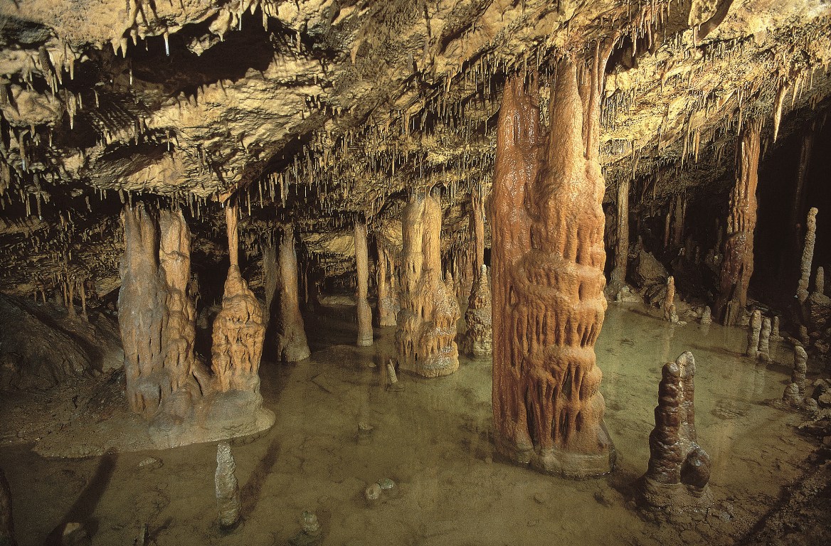 Grotte DI San Canziano E Lipica  ( 10 Ottobre )